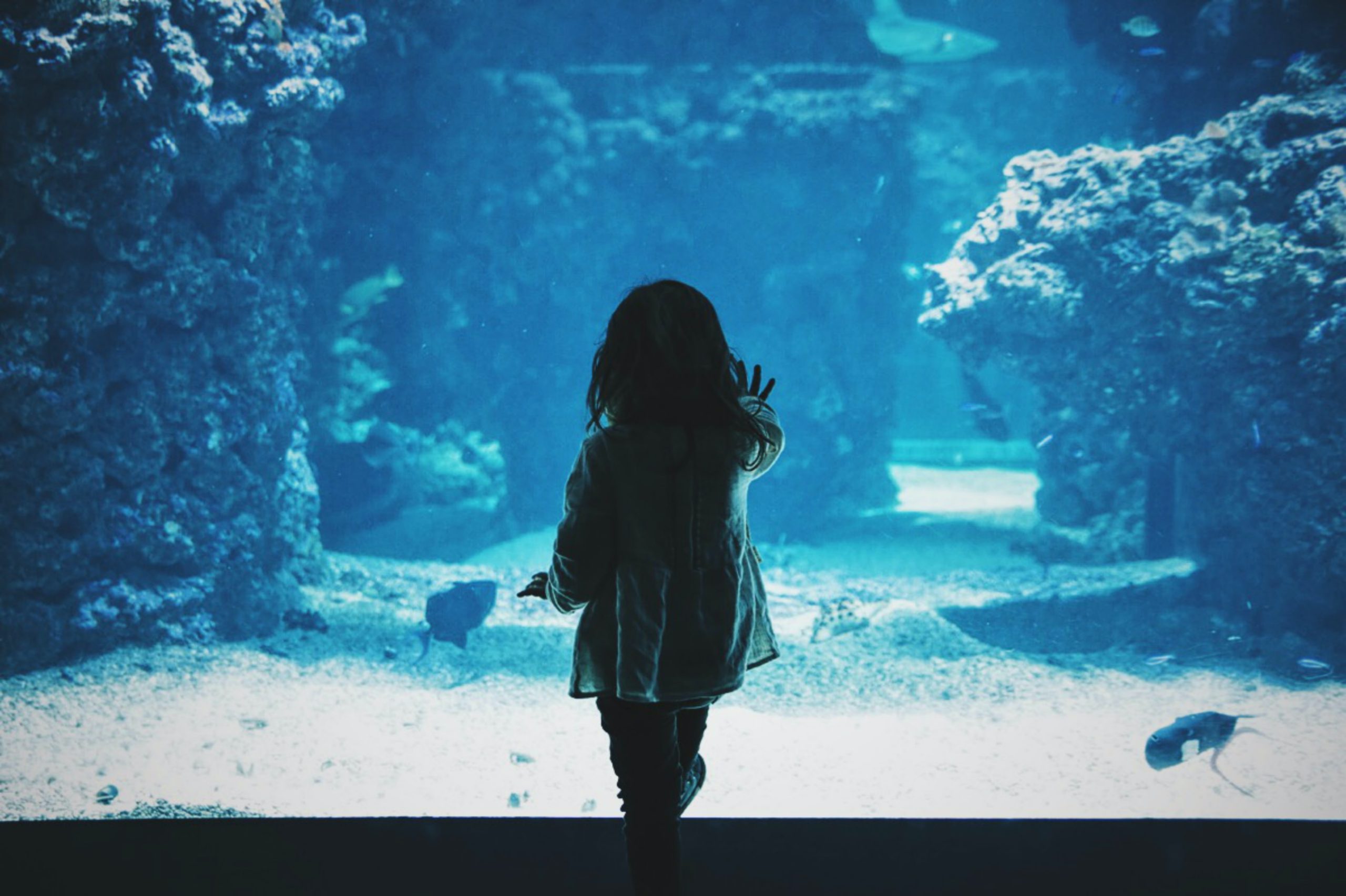child in front of aquarium